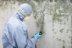 Forensic Mold Investigation in Blue Mound, IL